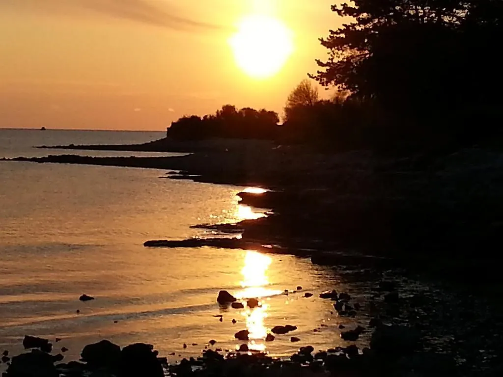 Attractive Holiday Home In Vabriga Tar-Vabriga Croatia